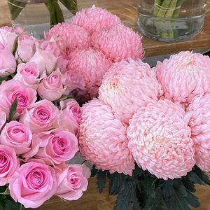 Meet your Posher, Bella